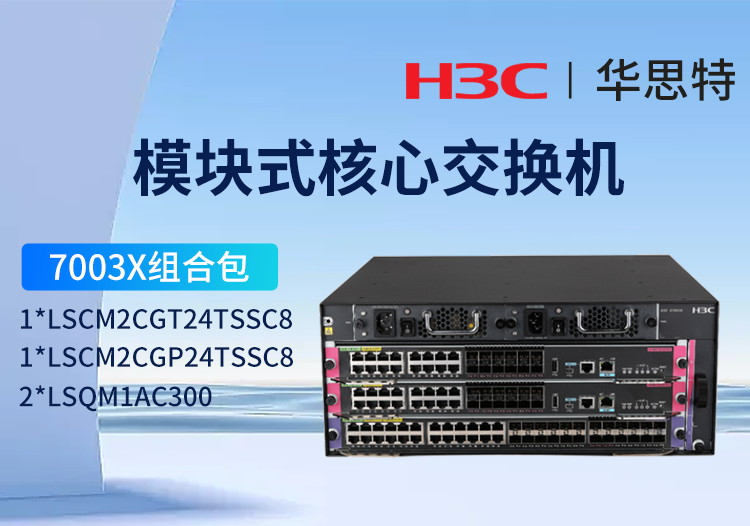 華三H3C S7003X 24千兆光+24千兆電套包 LS-7003X多業(yè)務(wù)企業(yè)級(jí)網(wǎng)絡(luò)核心路由交換機(jī) 標(biāo)準(zhǔn)版光電組合套裝 雙電源